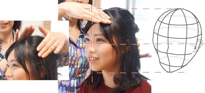 続いて頭部の骨格の特徴を立体的に診ていきます