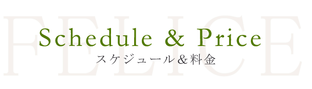 スケジュールと料金案内